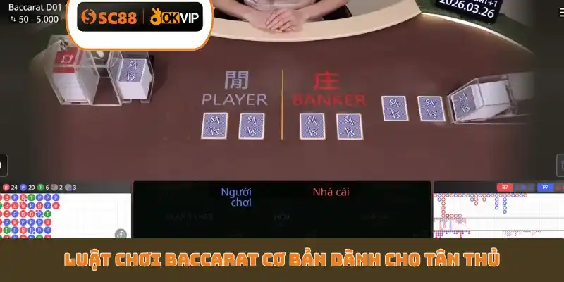 Luật chơi Baccarat cơ bản dành cho tân thủ